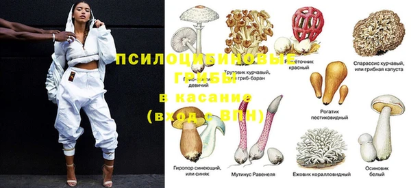 бошки Волоколамск